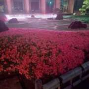 ヒメ日記 2025/05/23 00:38 投稿 静香／しずか 五反田アネージュ（ユメオト）