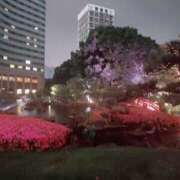 ヒメ日記 2025/05/24 00:55 投稿 静香／しずか 五反田アネージュ（ユメオト）