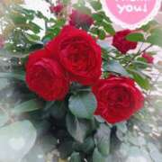 ヒメ日記 2025/06/11 04:52 投稿 静香／しずか 五反田アネージュ（ユメオト）