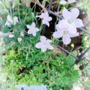 ヒメ日記 2025/06/25 18:10 投稿 静香／しずか 五反田アネージュ（ユメオト）