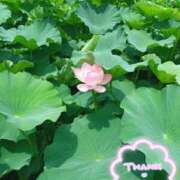 ヒメ日記 2025/07/12 19:52 投稿 静香／しずか 五反田アネージュ（ユメオト）