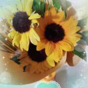 ヒメ日記 2025/08/06 01:08 投稿 静香／しずか 五反田アネージュ（ユメオト）