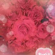 ヒメ日記 2025/08/18 21:27 投稿 静香／しずか 五反田アネージュ（ユメオト）