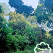 ヒメ日記 2025/10/19 19:35 投稿 静香／しずか 五反田アネージュ（ユメオト）