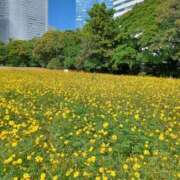 ヒメ日記 2025/10/25 13:15 投稿 静香／しずか 五反田アネージュ（ユメオト）