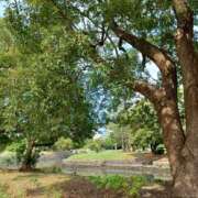 ヒメ日記 2025/10/30 01:20 投稿 静香／しずか 五反田アネージュ（ユメオト）