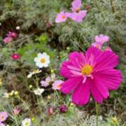 ヒメ日記 2025/10/31 22:40 投稿 静香／しずか 五反田アネージュ（ユメオト）