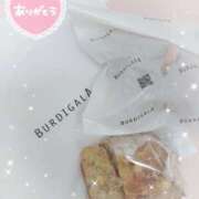 ヒメ日記 2025/11/12 23:13 投稿 静香／しずか 五反田アネージュ（ユメオト）