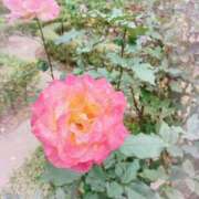 ヒメ日記 2025/11/18 22:28 投稿 静香／しずか 五反田アネージュ（ユメオト）