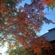 ヒメ日記 2025/11/23 02:55 投稿 静香／しずか 五反田アネージュ（ユメオト）