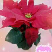 ヒメ日記 2025/12/11 00:37 投稿 静香／しずか 五反田アネージュ（ユメオト）