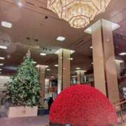 ヒメ日記 2025/12/20 14:30 投稿 静香／しずか 五反田アネージュ（ユメオト）