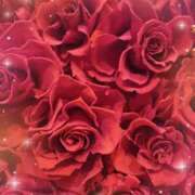 ヒメ日記 2025/12/26 00:08 投稿 静香／しずか 五反田アネージュ（ユメオト）