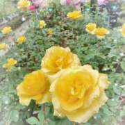 静香／しずか 27日 土曜日の御礼です 五反田アネージュ（ユメオト）