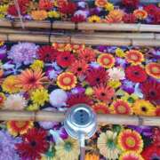 ヒメ日記 2026/01/06 23:51 投稿 静香／しずか 五反田アネージュ（ユメオト）