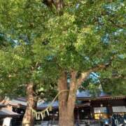 ヒメ日記 2026/01/29 23:27 投稿 静香／しずか 五反田アネージュ（ユメオト）