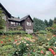 ヒメ日記 2026/01/30 20:18 投稿 静香／しずか 五反田アネージュ（ユメオト）