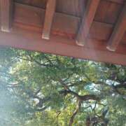 ヒメ日記 2026/02/10 02:02 投稿 静香／しずか 五反田アネージュ（ユメオト）