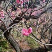 ヒメ日記 2026/02/14 13:22 投稿 静香／しずか 五反田アネージュ（ユメオト）