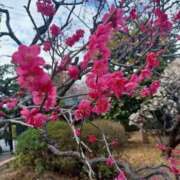 ヒメ日記 2026/02/22 15:46 投稿 静香／しずか 五反田アネージュ（ユメオト）