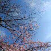 ヒメ日記 2026/03/01 01:31 投稿 静香／しずか 五反田アネージュ（ユメオト）