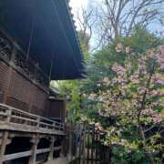 ヒメ日記 2026/03/10 01:46 投稿 静香／しずか 五反田アネージュ（ユメオト）