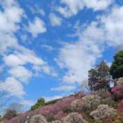 ヒメ日記 2026/03/10 01:55 投稿 静香／しずか 五反田アネージュ（ユメオト）