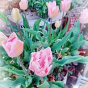 ヒメ日記 2026/03/18 00:30 投稿 静香／しずか 五反田アネージュ（ユメオト）