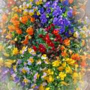 ヒメ日記 2026/03/18 00:38 投稿 静香／しずか 五反田アネージュ（ユメオト）