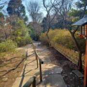 ヒメ日記 2026/03/19 07:31 投稿 静香／しずか 五反田アネージュ（ユメオト）