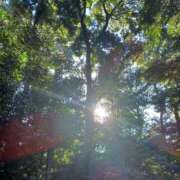 ヒメ日記 2026/03/19 08:00 投稿 静香／しずか 五反田アネージュ（ユメオト）