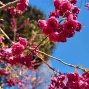 ヒメ日記 2026/03/20 23:30 投稿 静香／しずか 五反田アネージュ（ユメオト）