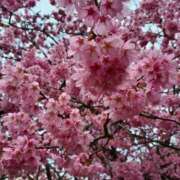 ヒメ日記 2026/03/27 01:42 投稿 静香／しずか 五反田アネージュ（ユメオト）