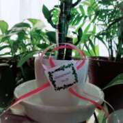 ヒメ日記 2026/04/10 16:17 投稿 静香／しずか 五反田アネージュ（ユメオト）