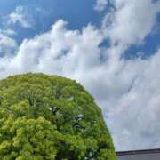 ヒメ日記 2026/04/18 00:36 投稿 静香／しずか 五反田アネージュ（ユメオト）