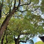 静香／しずか 17日 金曜日の御礼です 五反田アネージュ（ユメオト）