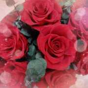 ヒメ日記 2026/04/29 21:15 投稿 静香／しずか 五反田アネージュ（ユメオト）