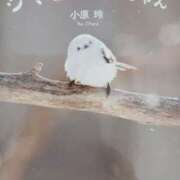 ヒメ日記 2026/08/14 00:35 投稿 静香／しずか 五反田アネージュ（ユメオト）