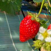 ヒメ日記 2025/03/14 11:09 投稿 もえ 名古屋Ｍ性感 ルーフ倶楽部