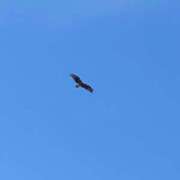 ヒメ日記 2025/08/20 10:45 投稿 もえ 名古屋Ｍ性感 ルーフ倶楽部