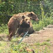 ヒメ日記 2025/10/27 10:41 投稿 もえ 名古屋Ｍ性感 ルーフ倶楽部