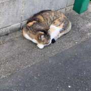 ヒメ日記 2025/11/28 10:39 投稿 もえ 名古屋Ｍ性感 ルーフ倶楽部