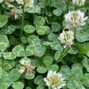 ヒメ日記 2025/12/01 13:58 投稿 もえ 名古屋Ｍ性感 ルーフ倶楽部