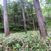 ヒメ日記 2026/07/14 15:45 投稿 もえ 名古屋Ｍ性感 ルーフ倶楽部