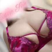 ヒメ日記 2025/11/29 01:59 投稿 片瀬 BBW（ビッグビューティフルウーマン）