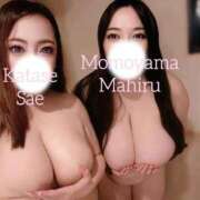 ヒメ日記 2025/11/30 00:09 投稿 片瀬 BBW（ビッグビューティフルウーマン）