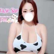 ヒメ日記 2026/02/12 11:59 投稿 片瀬 BBW（ビッグビューティフルウーマン）