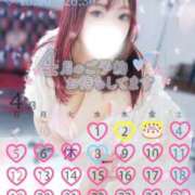 ヒメ日記 2026/04/13 00:15 投稿 片瀬 BBW（ビッグビューティフルウーマン）