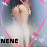 ヒメ日記 2025/08/20 06:00 投稿 音々(ねね) 可憐な妻たち 太田店