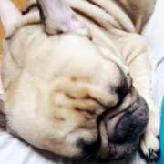 ヒメ日記 2024/12/09 06:21 投稿 Yui ワンカラット～人妻の輝き～